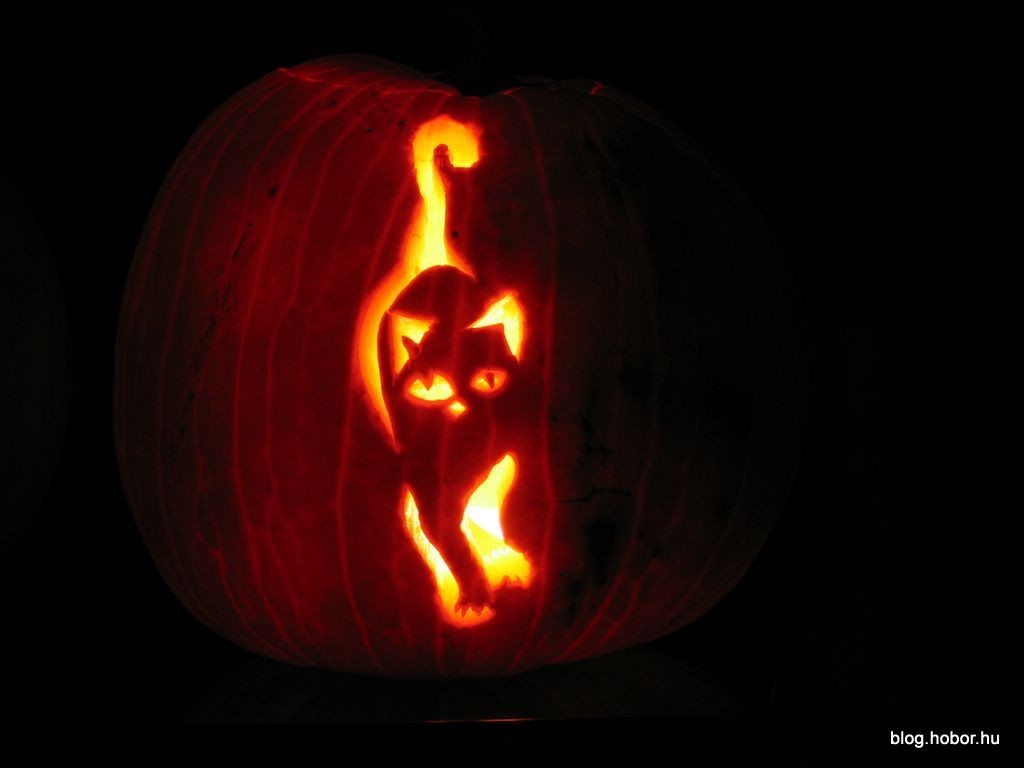 Halloween Pumpkins, Jack O' Lanterns 2006